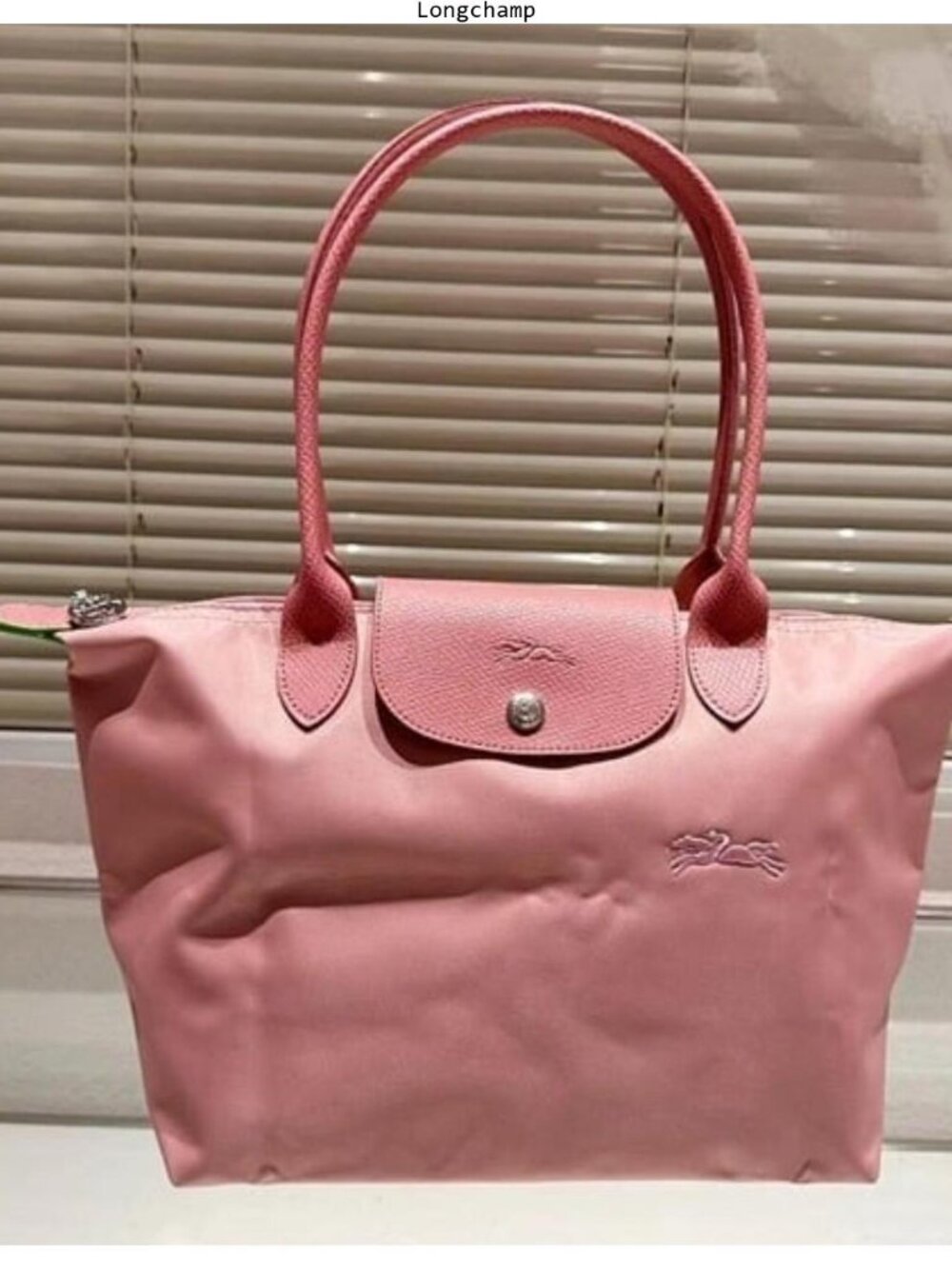 Longchamp women's bags